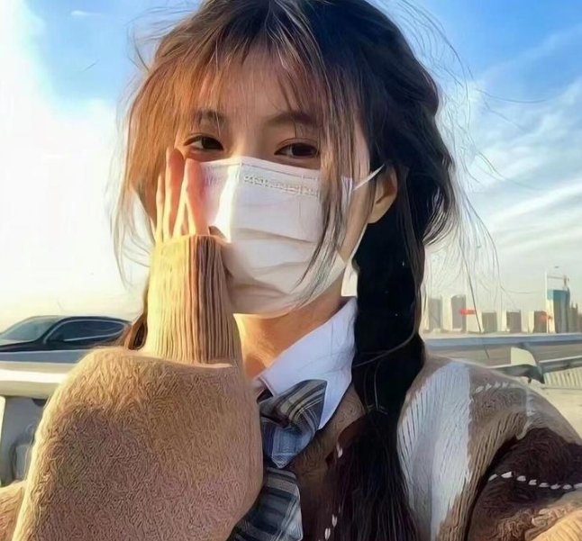 征服北极的人